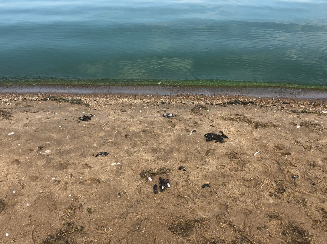 Buffalo Pound Provincial Park景点图片