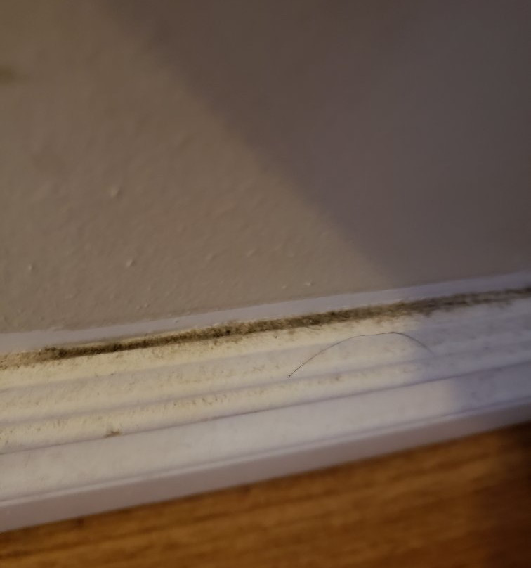 Days Inn by Wyndham Chetwynd主图