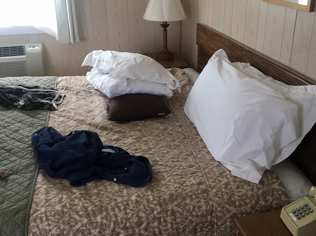 Seascape Motel and Cottages主图