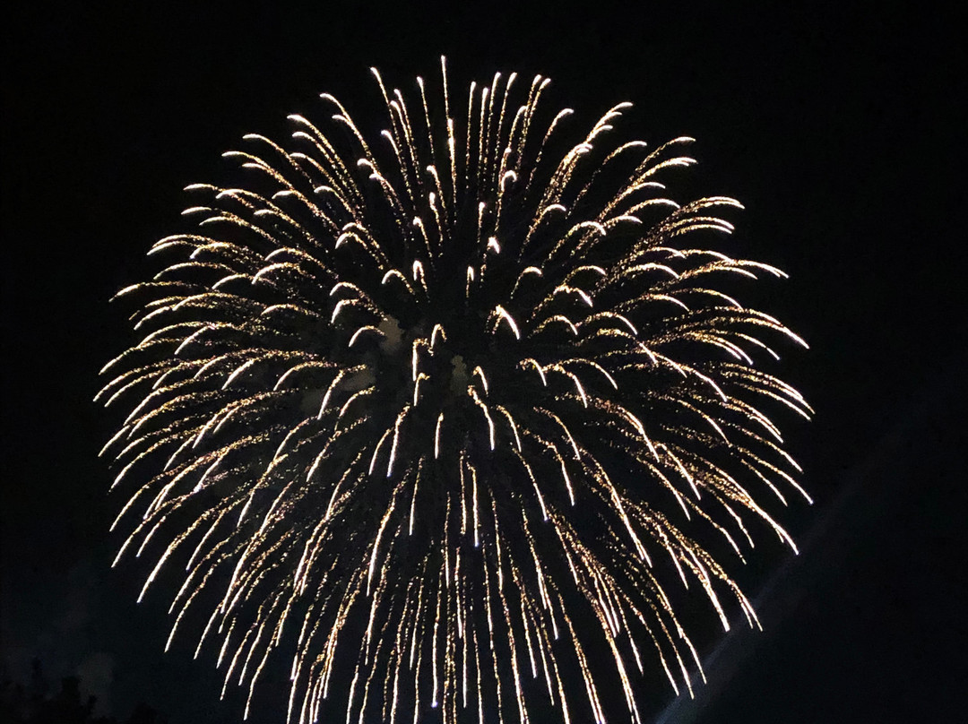 Edogawa Fireworks-江戸川区必去景点
