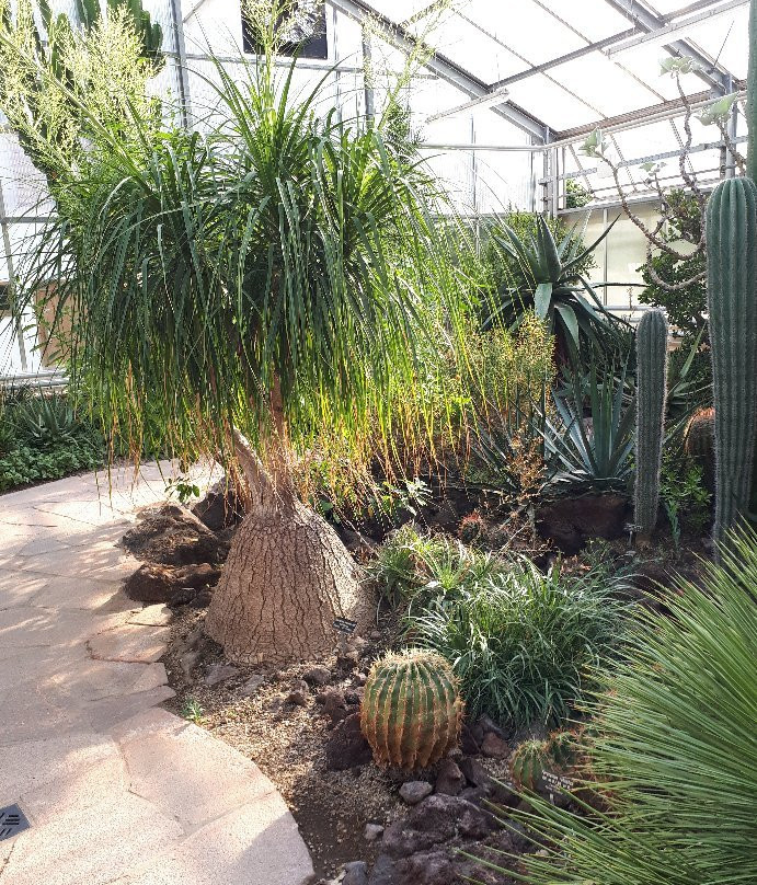 Botanischer Garten Chemnitz景点图片