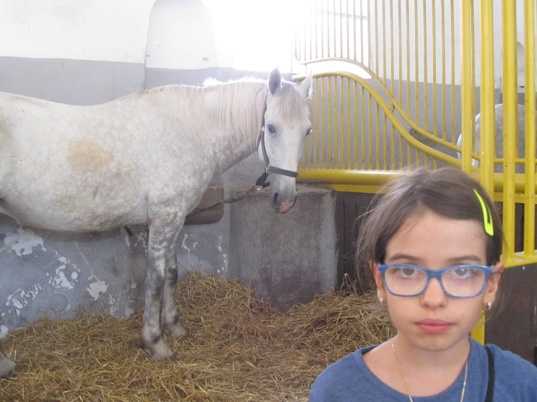 National Stud Kladruby nad Labem-Kladruby必去景点