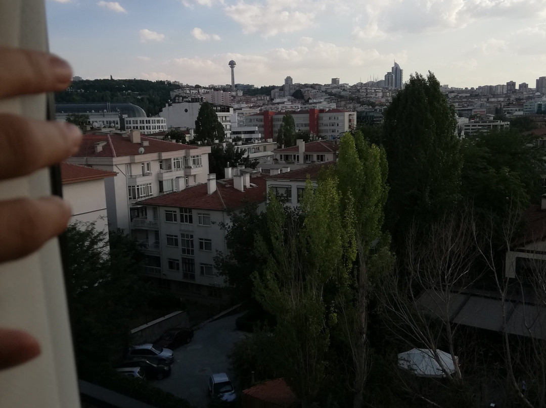 Sc Inn Hotel Ankara主图