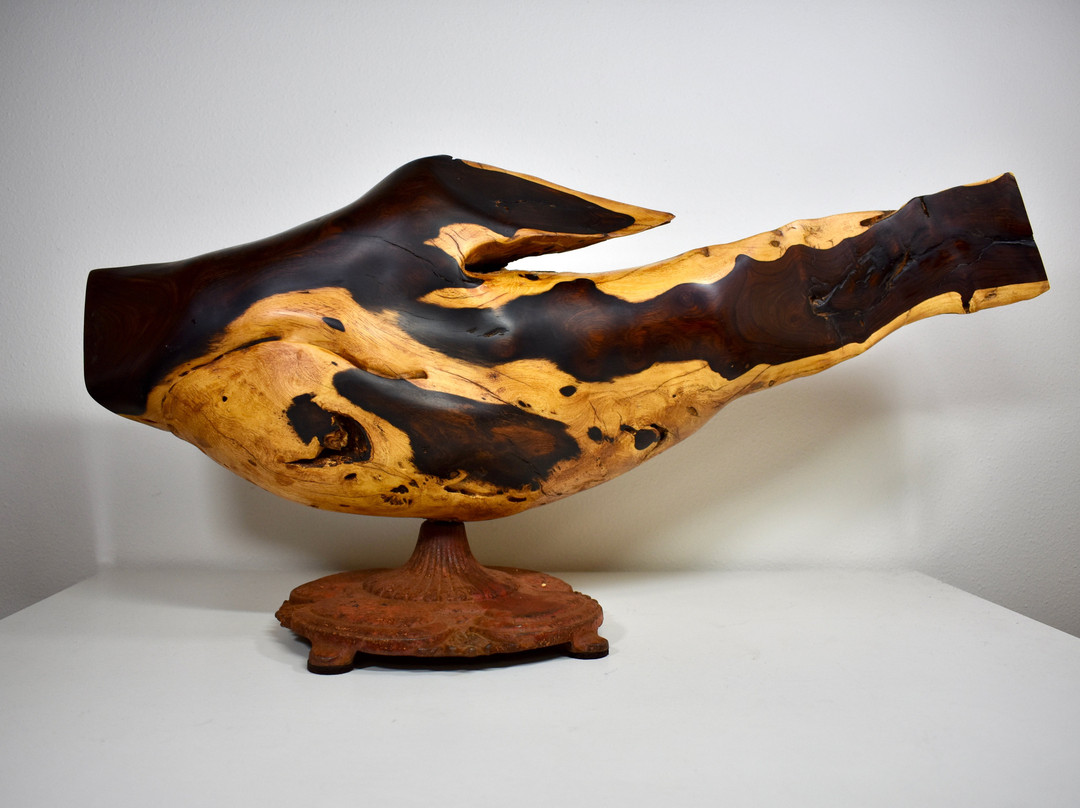 Sandphifer Gallery景点图片