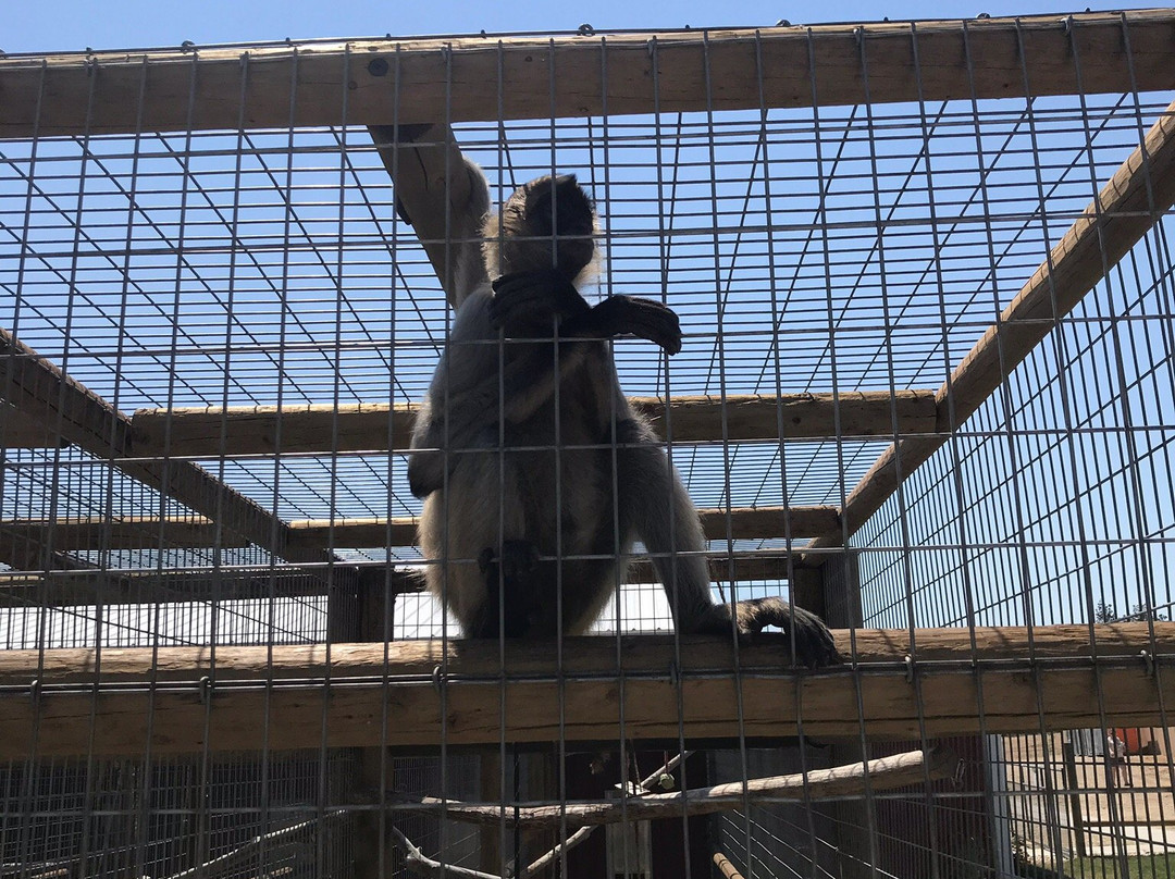 Babby Farms-Caldwell必去景点