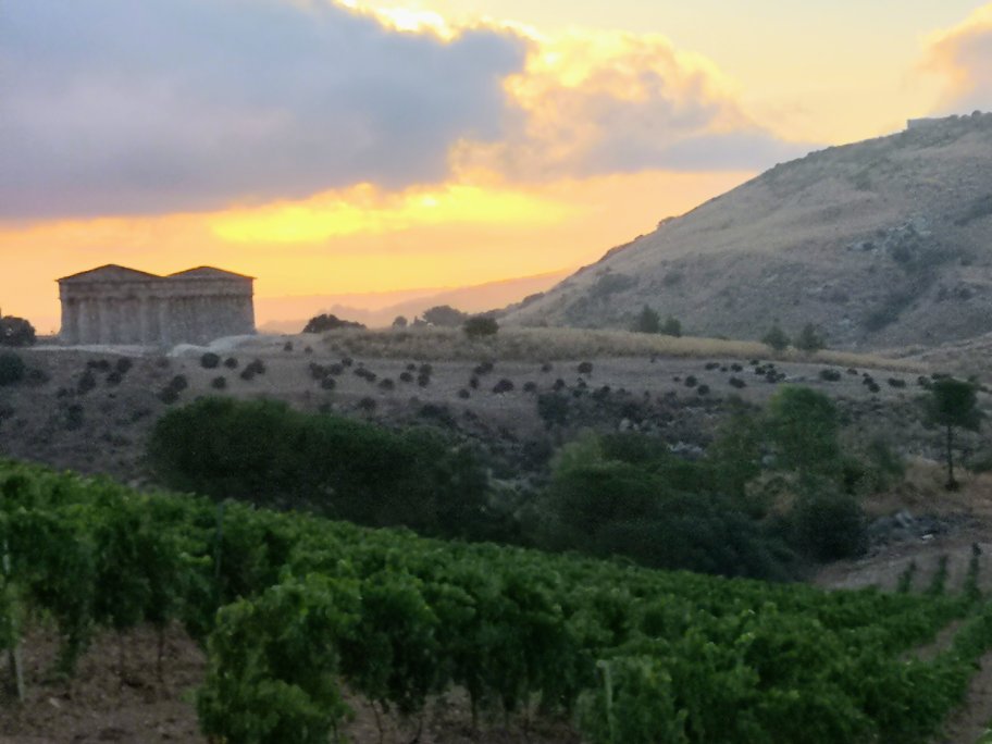 Agriturismo Tenute Pispisa Segesta-官方
