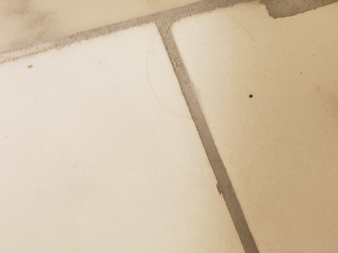 华美达巴尔的摩华盛顿国际机场/阿伦德尔米尔斯酒店主图