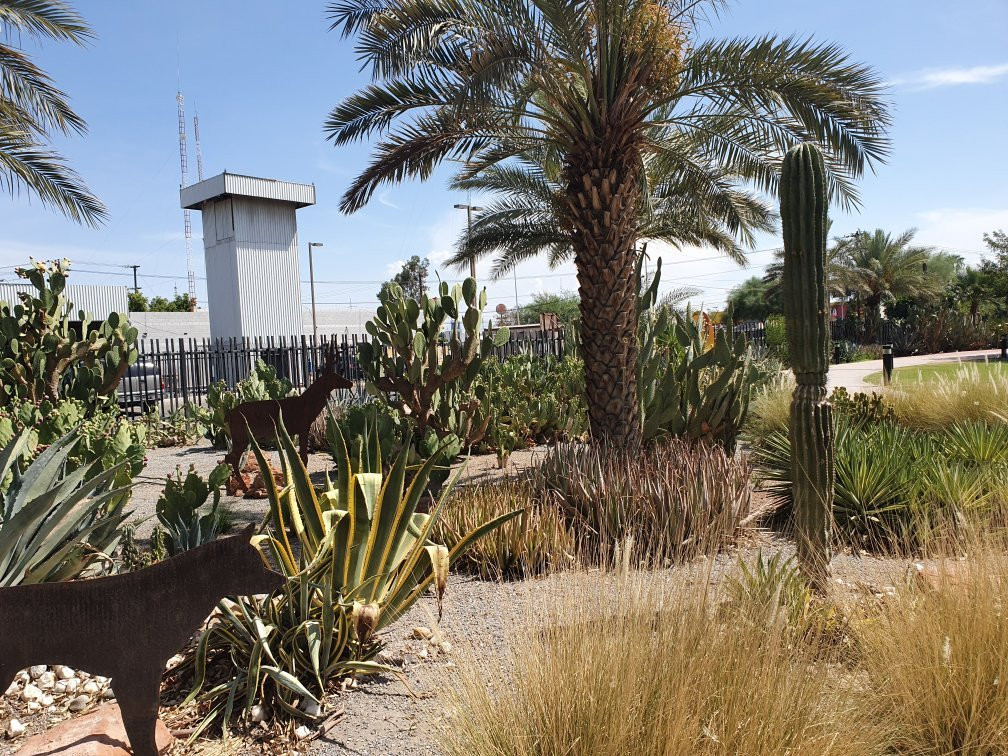 Museo Sol del Nino-Mexicali必去景点