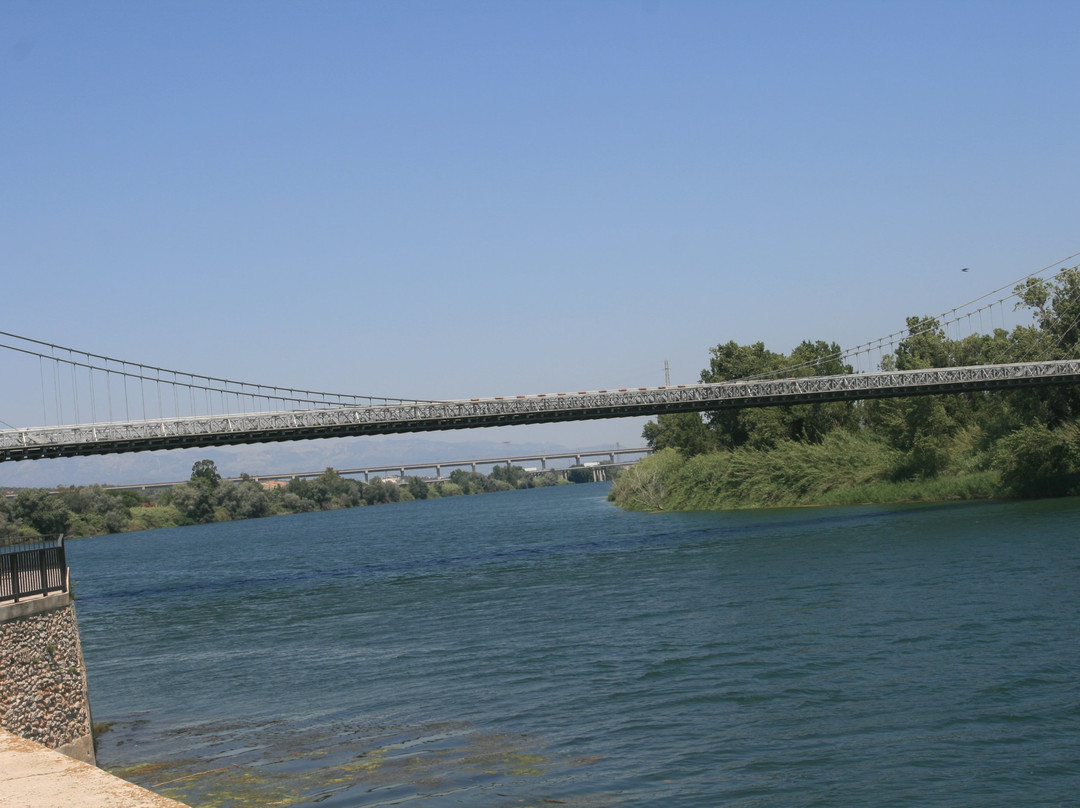 Puente de Amposta景点图片