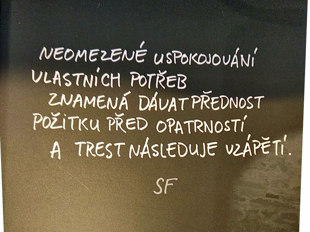 Rodny dum Sigmunda Freuda景点图片