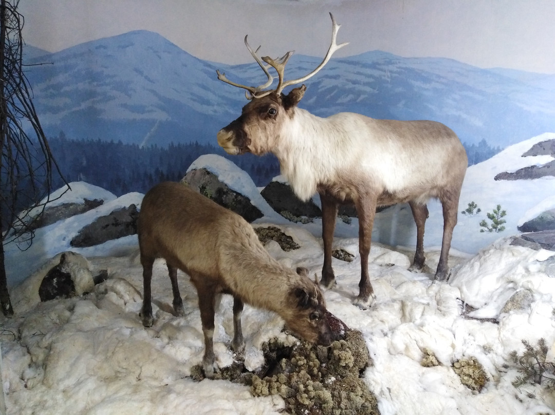 Severouralsk Local Lore Museum-Severouralsk必去景点