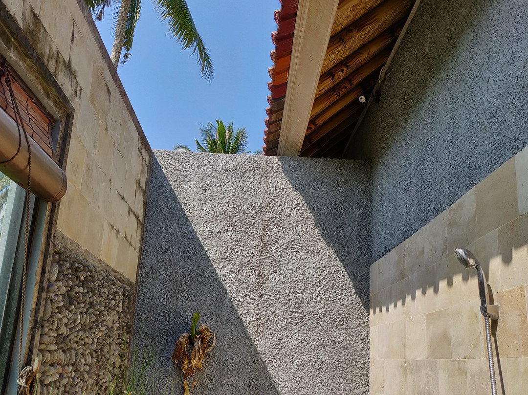 Rice Padi Artha主图