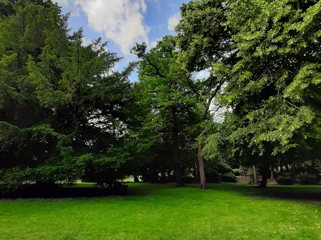 Coombe Abbey Park景点图片