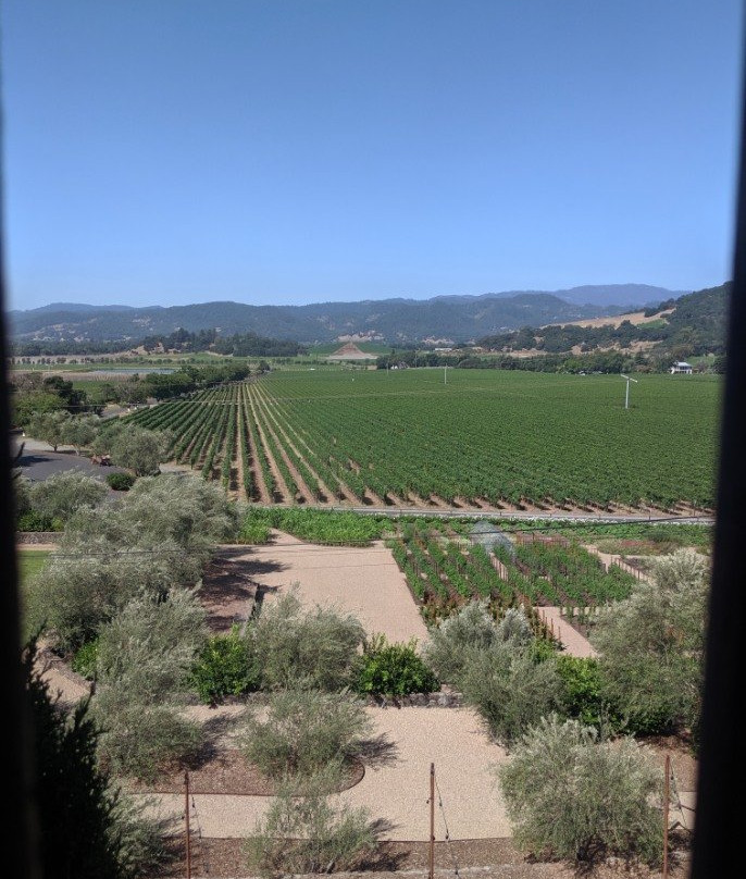 Regusci Winery景点图片