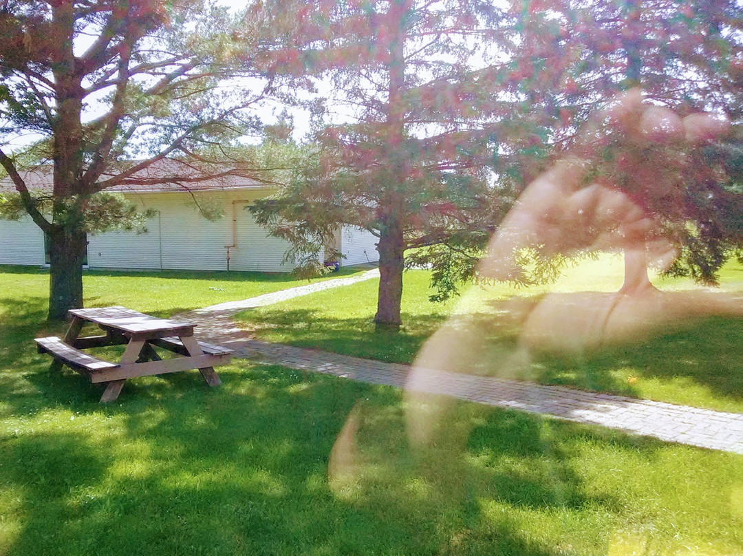 Ambassador Motel主图