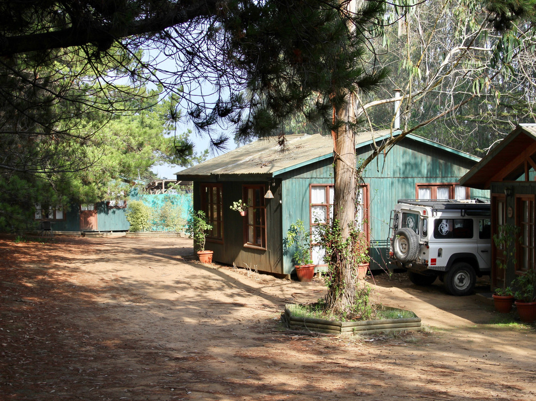La Magia de Isla Negra Alojamiento Cabanas主图