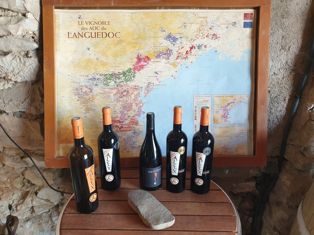 Le Petit Train des Vignes du Domaine Alexandrin景点图片
