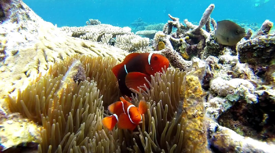 Togean Journey景点图片