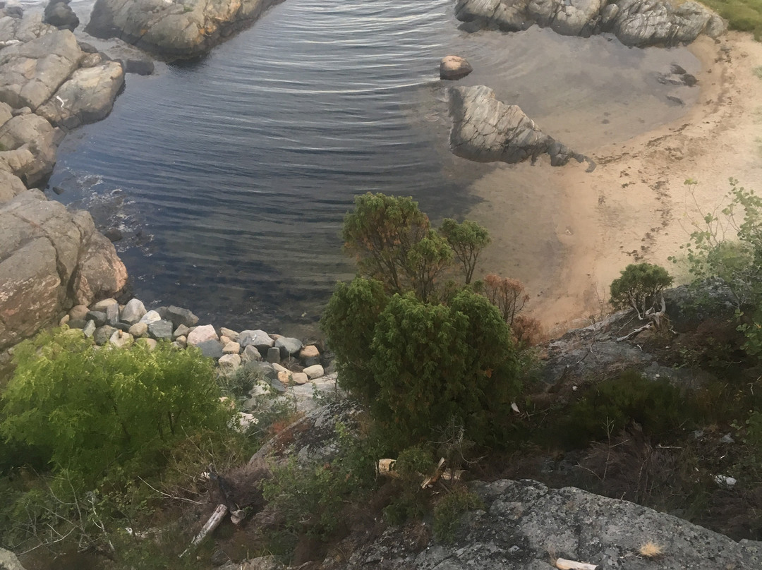 Roligheden Camping