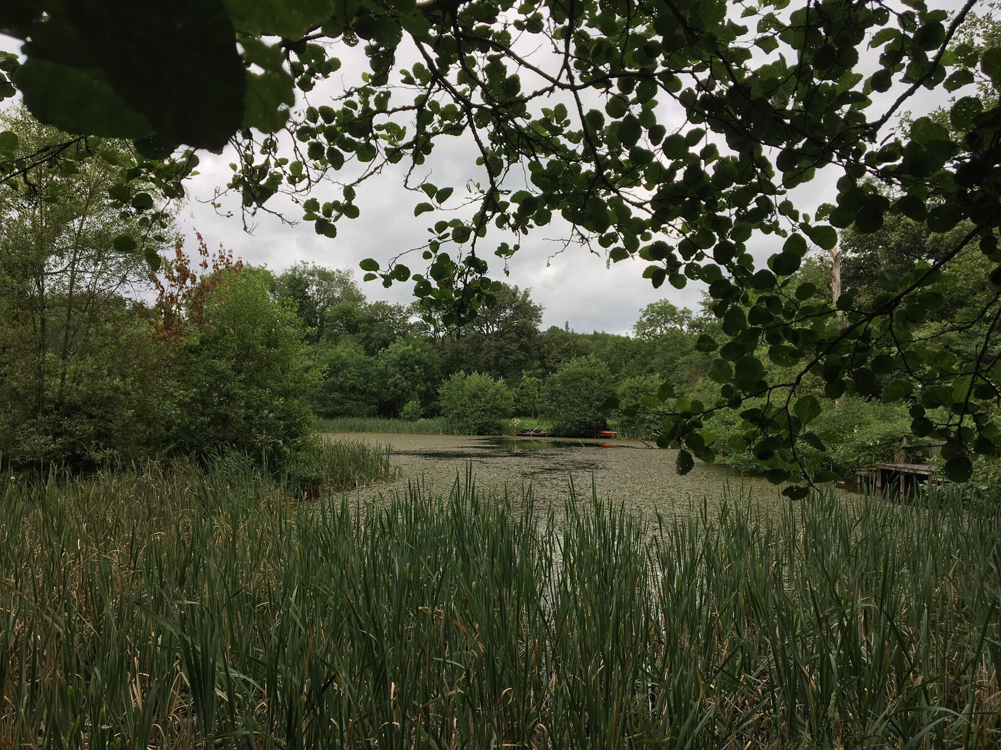 Henllys Estate Bed & Breakfast-官方