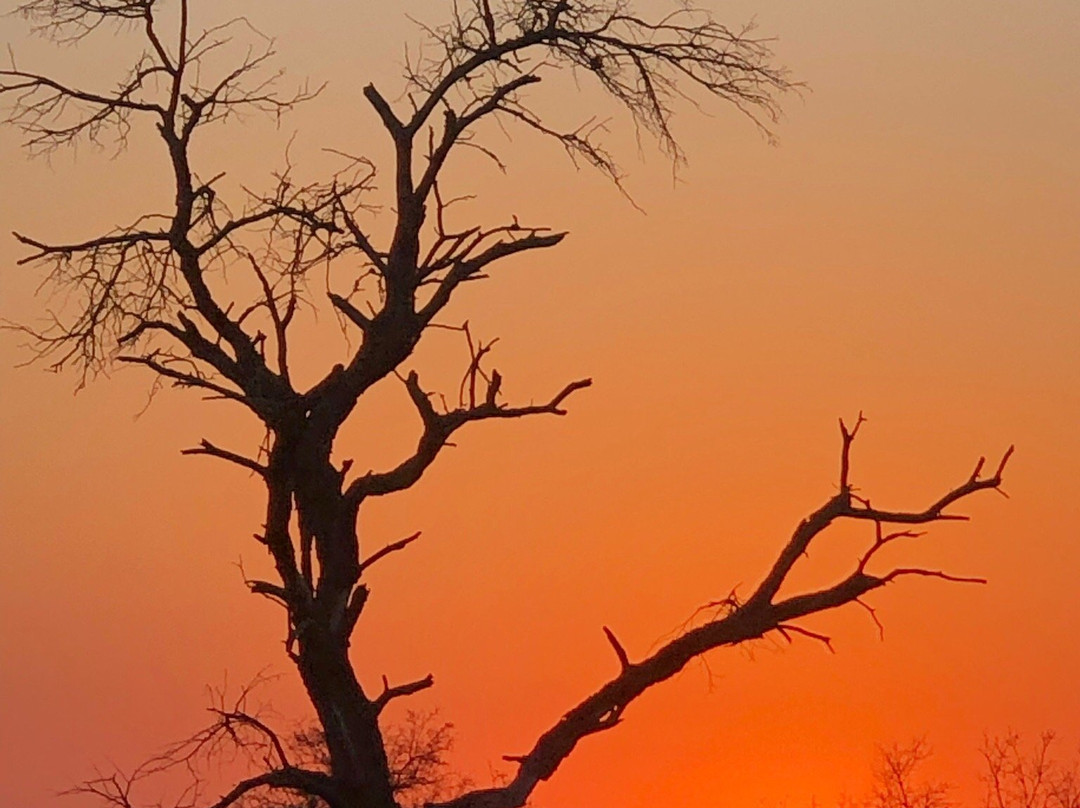 Crowned Eagle Tours and Safaris-雾观必去景点