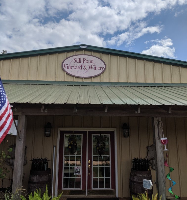 Still Pond Vineyard and Winery-Arlington必去景点