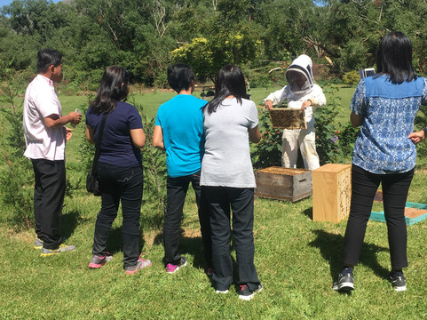 Hunny Shop-Garston必去景点