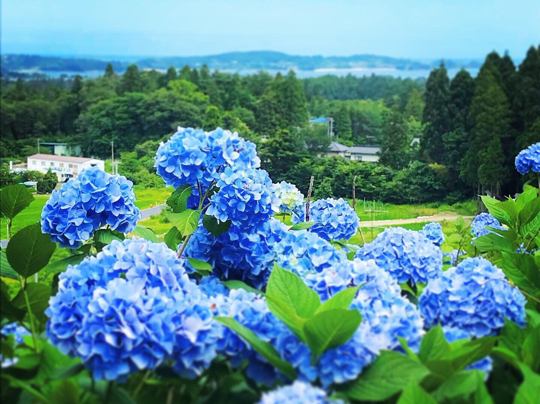 Akasaka Public Park-气仙沼市必去景点