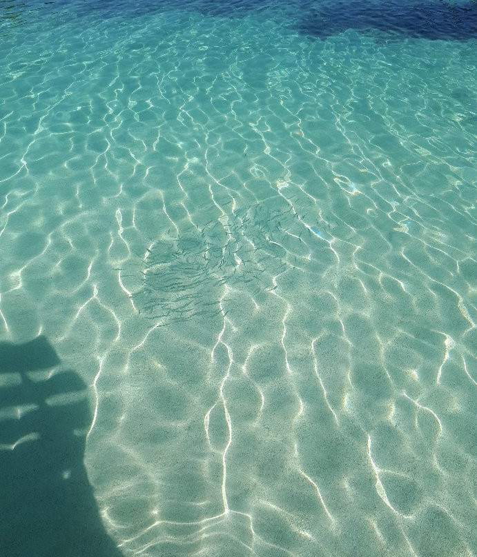 Active Albania-地拉那必去景点