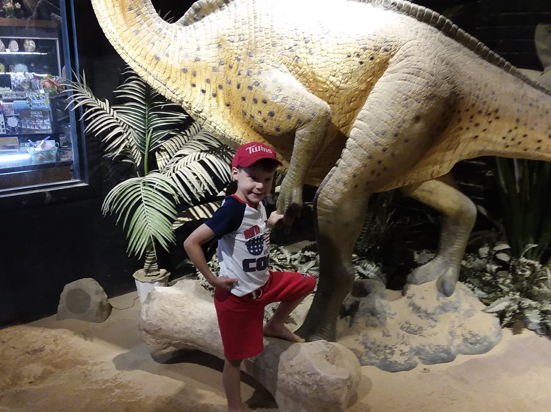 Dino Dig-Murfreesboro必去景点