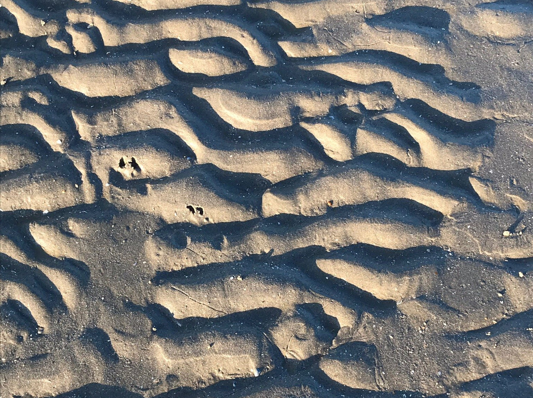 Het Strand van IJmuiden aan Zee-Ijmuiden必去景点