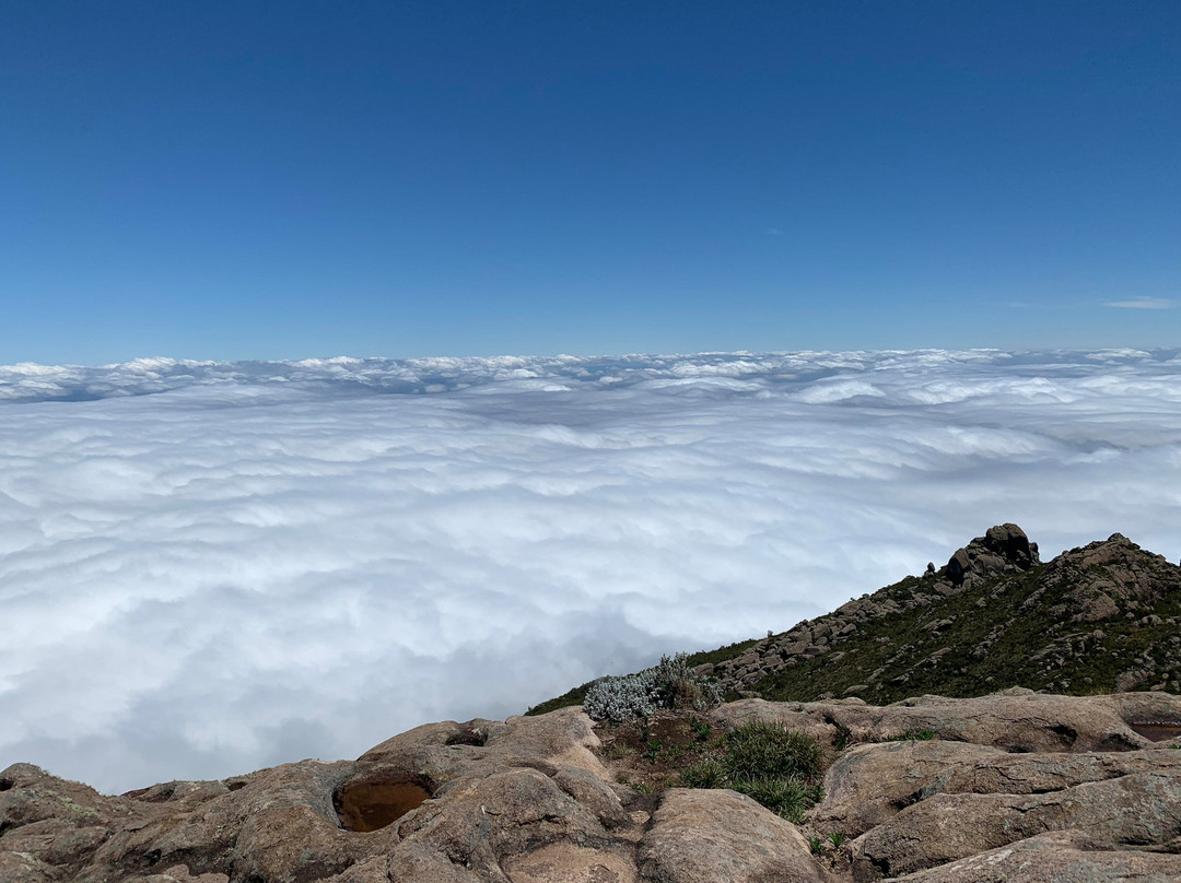 Trilha da Pedra da Gavea-里约热内卢必去景点