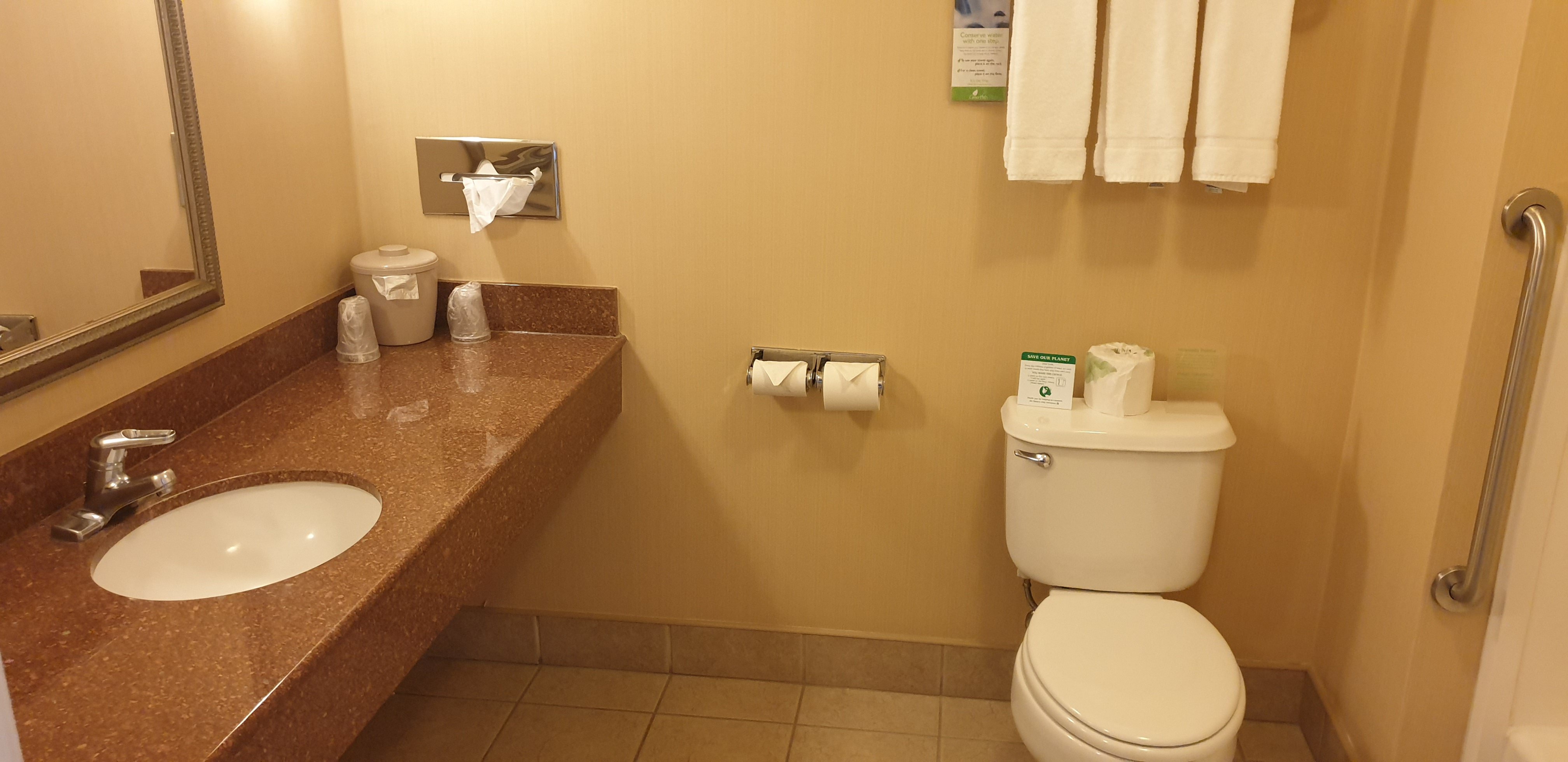 奥克代尔智选假日酒店-浴室