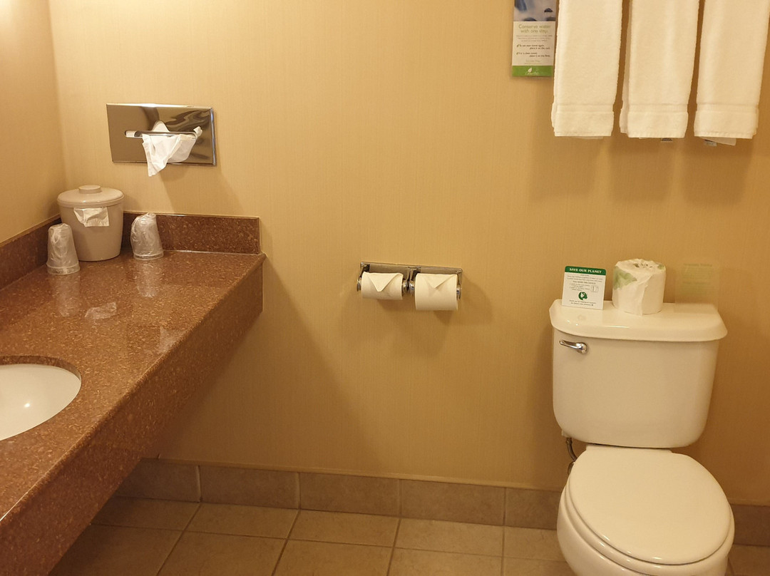 奥克代尔智选假日酒店主图