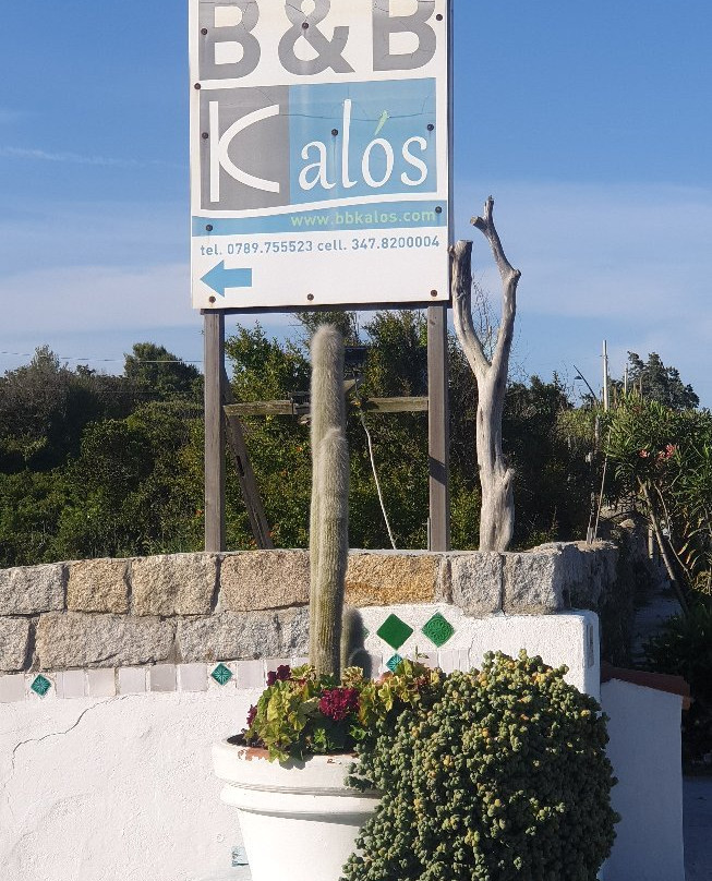B&B Kalos主图