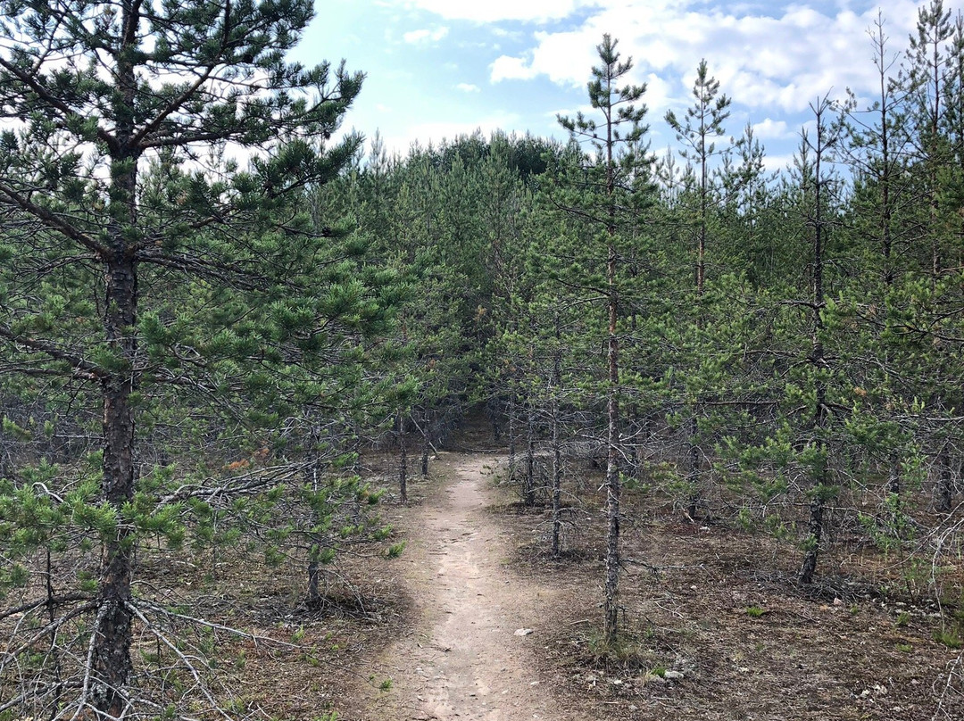 Puuvuori-Ylojarvi必去景点