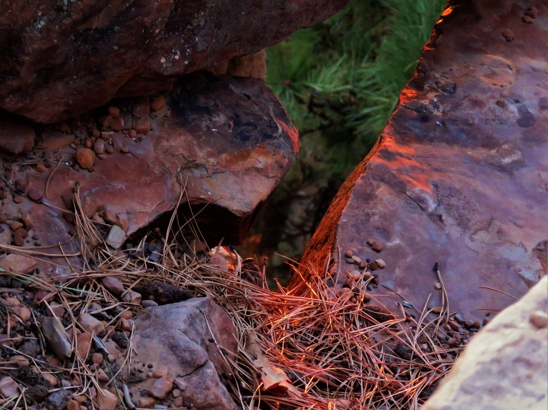 Rim Lakes Vista Trail-Payson必去景点