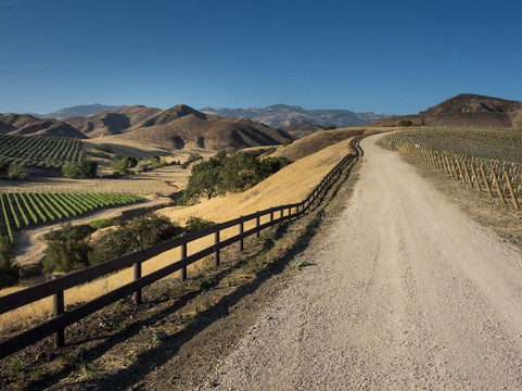 Crown Point Vineyards-圣伊内斯必去景点