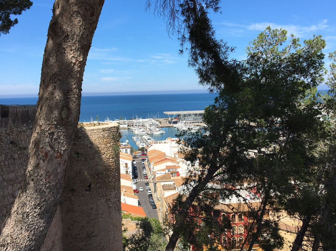 Denia Castle and Archaeological Museum景点图片