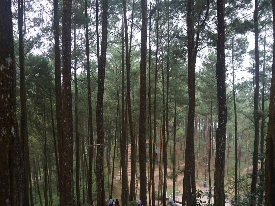 Pentulu Indah Hill-Kebumen必去景点