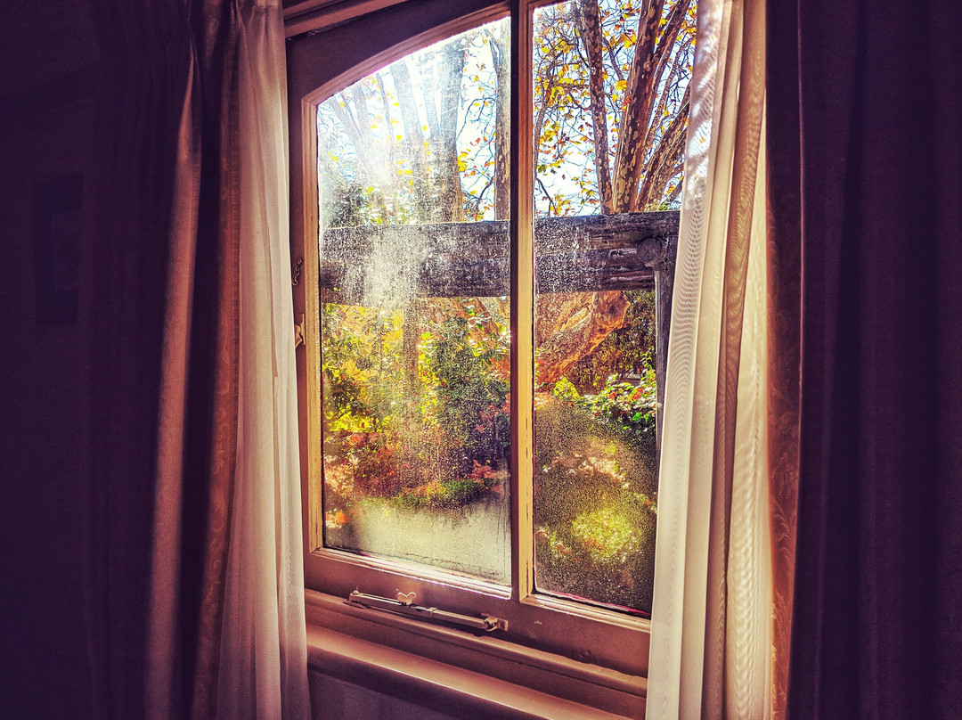 Kubba Roonga Guesthouse - Boutique Luxury Spa Retreat & Gardens主图