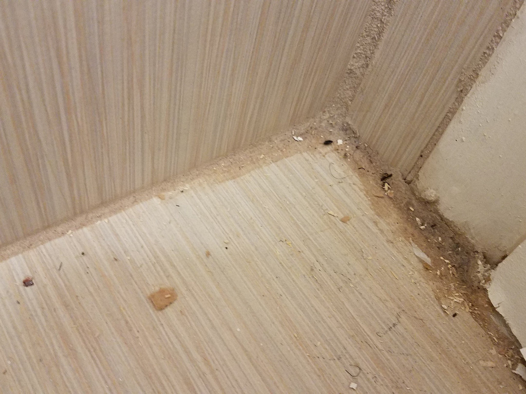 Chattanooga Heritage Inn主图