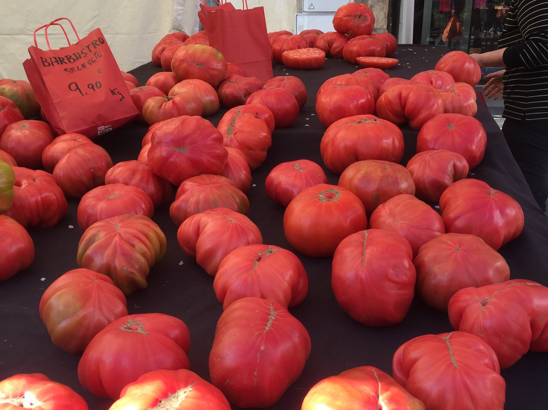 Saturday Market La Garriga景点图片