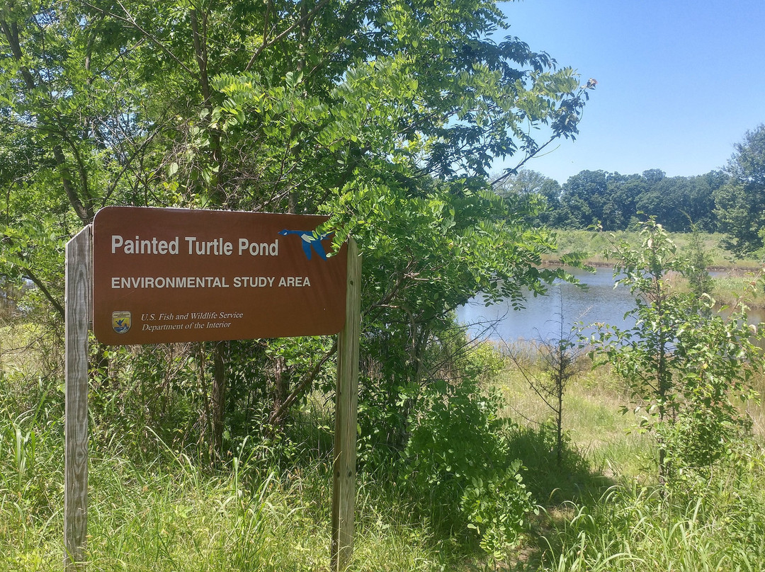 Occoquan Bay National Wildlife Refuge景点图片