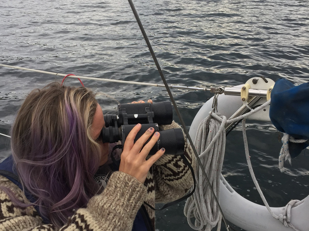 Sailing the Saanich Inlet景点图片