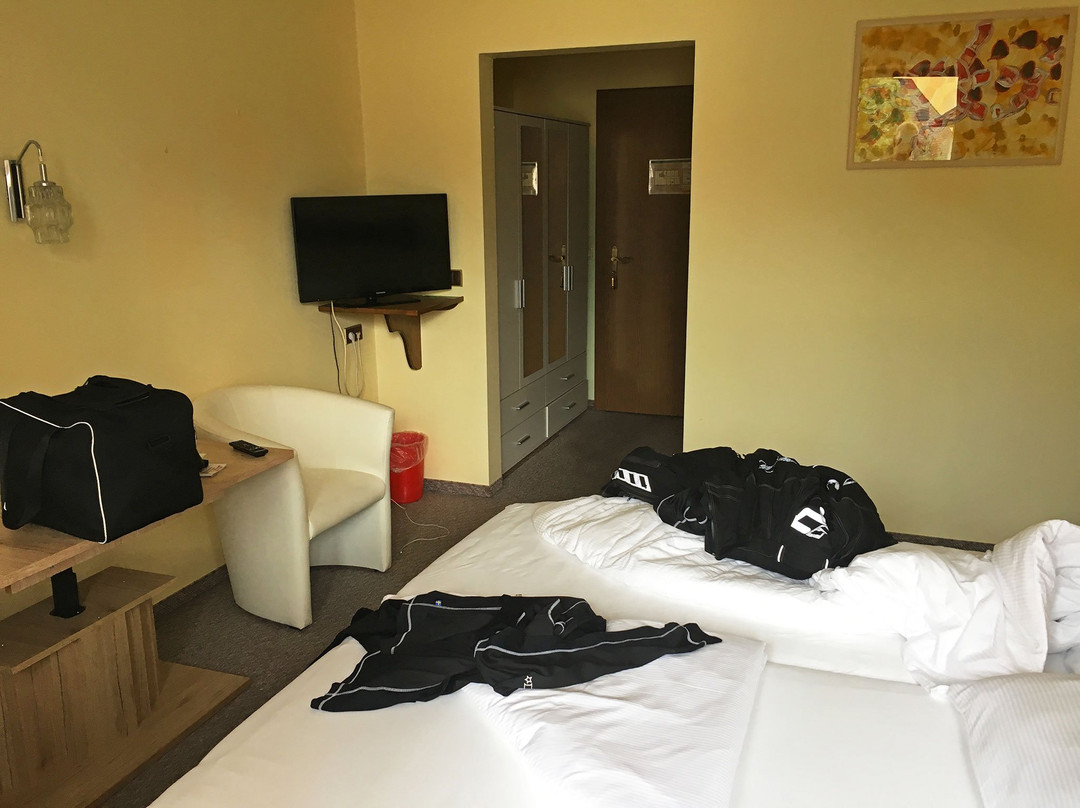 Hotel Boehmerwaldhof主图