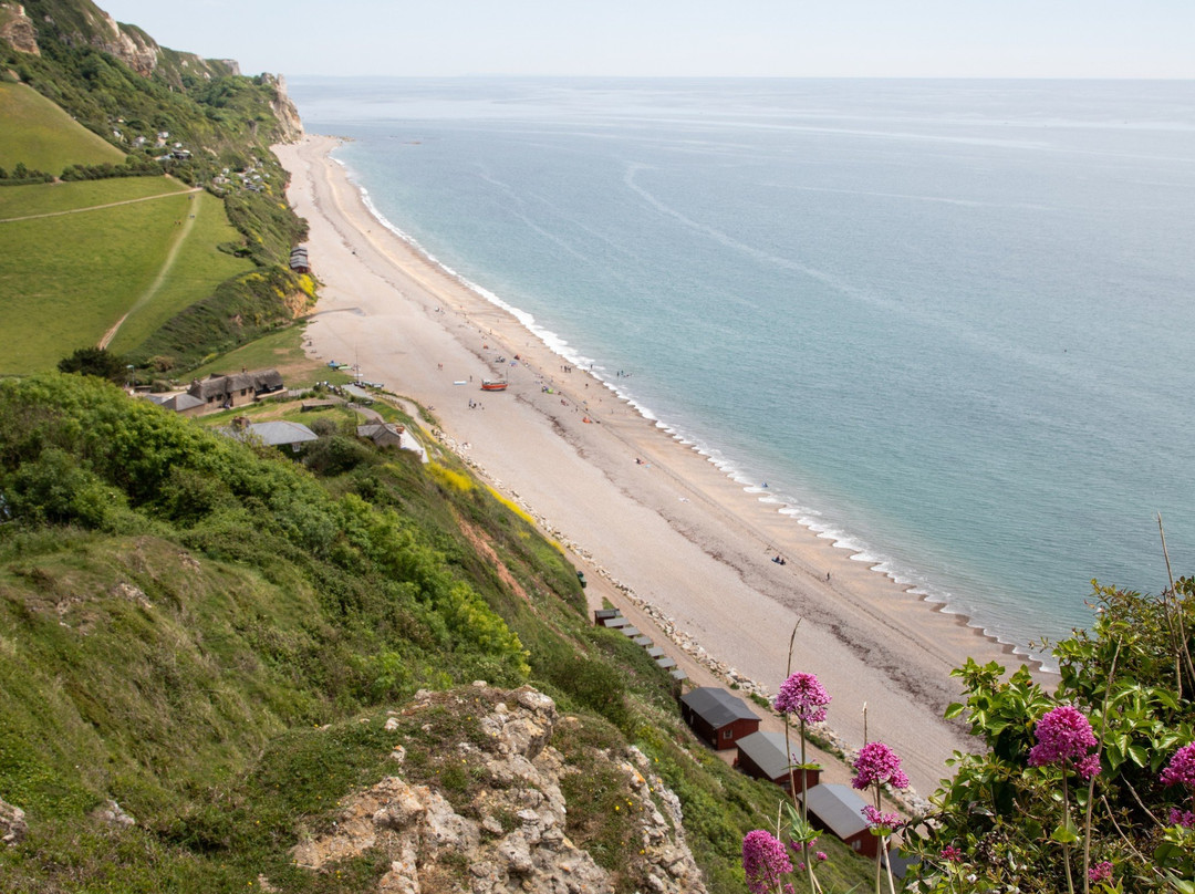 South West Coast Path - Hooken Cliffs景点图片