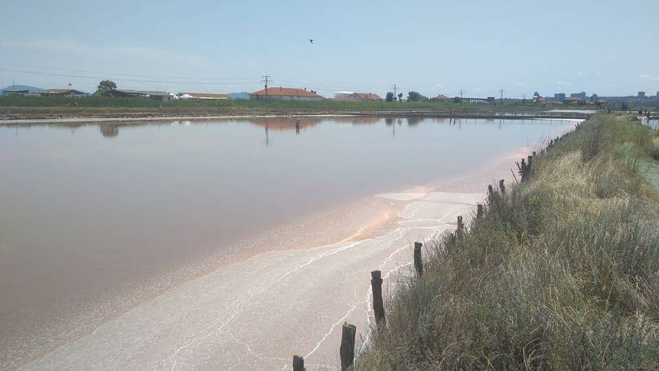 Lake Atanasovsko景点图片