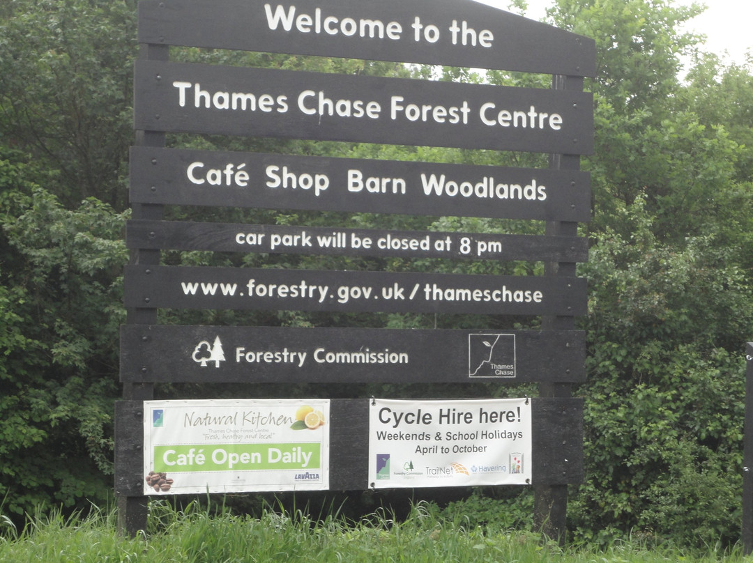 Thames Chase Forest Centre景点图片