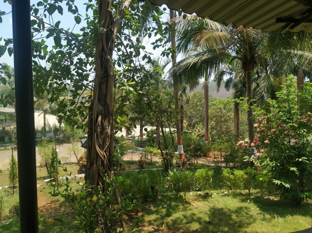 SPOT ON 69008 Doctor's Farm主图